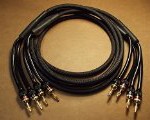 AUDIOPHILE 14 GAUGE BI-WIRE SPEAKER CABLES 6 FT. PAIR