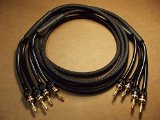 AUDIOPHILE 14 GAUGE BI-WIRE SPEAKER CABLES 6 FT. PAIR